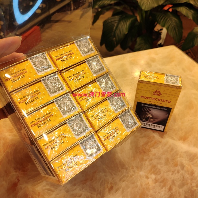 蒙特短号100支(10盒)-澳门雪茄